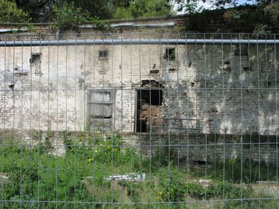 The herb garden before rebuilding