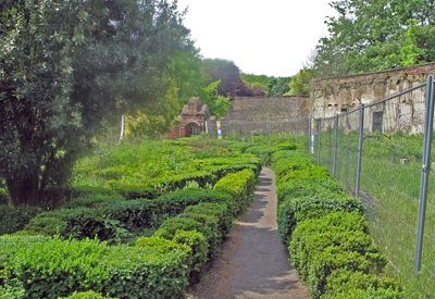 A walled garden