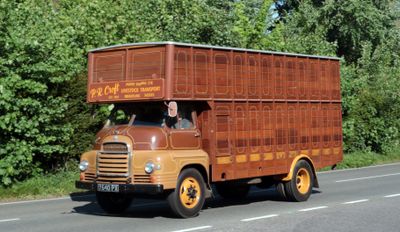 Livestock Transport