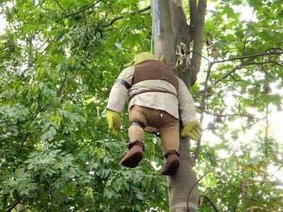 The doll was quite large and stayed up in the tree for many years