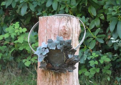 Made out of metal, looks like a wreath. The huge tree trunk is sunk into the grave