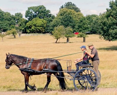Possibly taken in Richmond Park