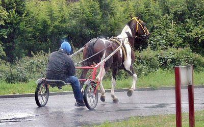 Possibly taken in Sussex