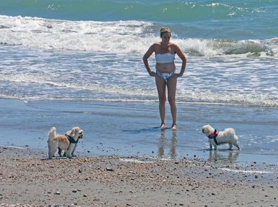 Wittering