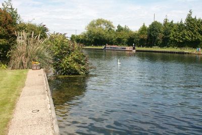 Looking upstream
