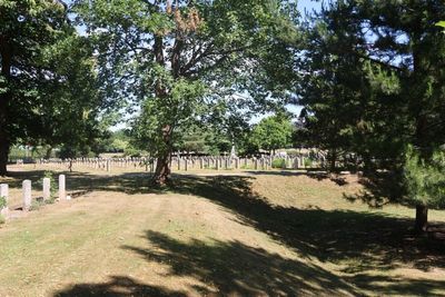 The cemetery