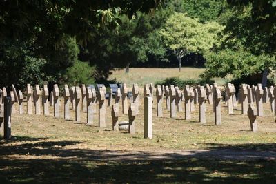 Nice to see straight rows of stones.