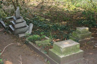 There is something wrong with people who break tombstones