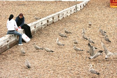 This is under the sign warning about Hungry Aggressive birds