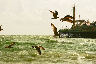 Brighton