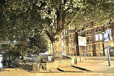Drawdock Putney Bridge