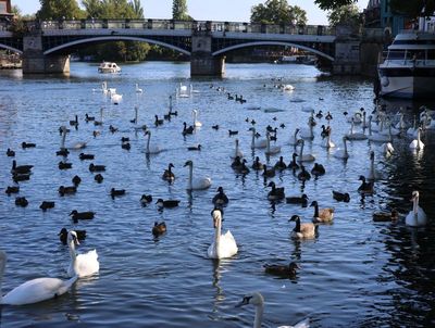 Windsor, the river Thames