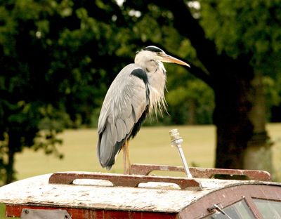 He wont catch no fish there