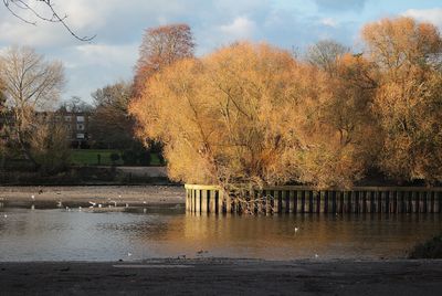 Normal low tide in winter time.
