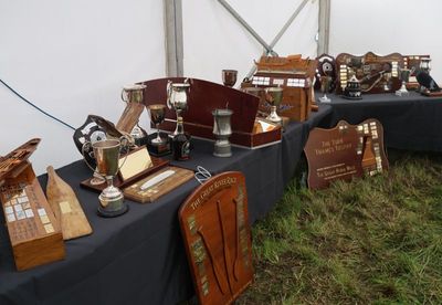 A lot of the Trophys