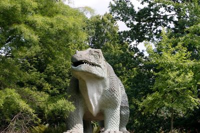 Iguanadon