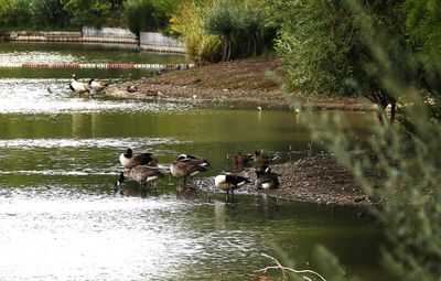 Crystal Palace Park
