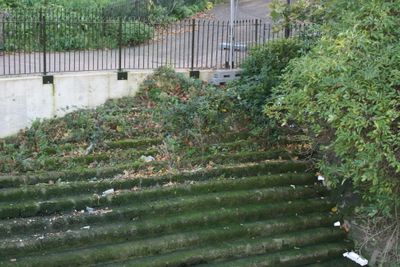 Steps out of the park, not been used for a very long timel..