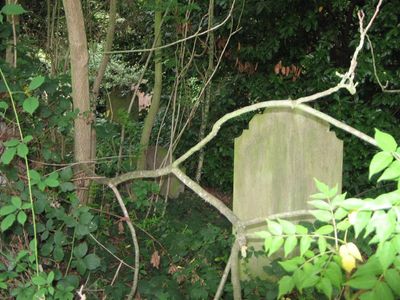 Parts of this cemetery is overgrown