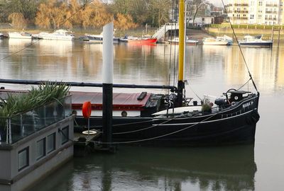 _D207980.JPG