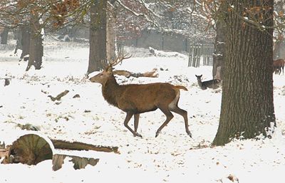 It was damn cold, I took a few photos and went home.