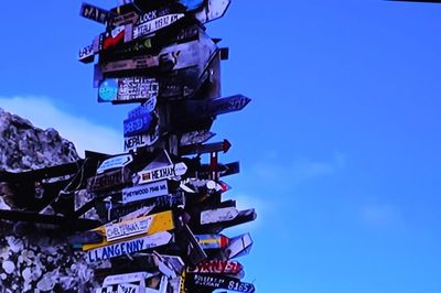 Hexham, LLangenny, the middle of the tree.