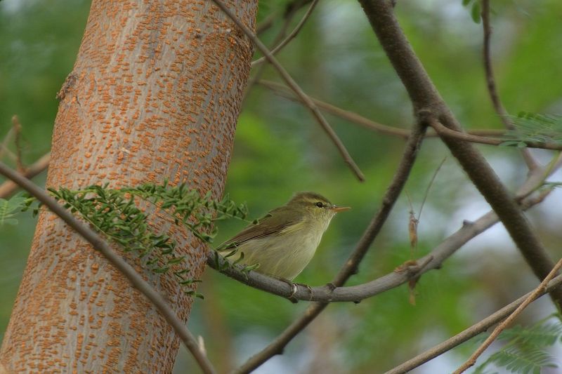 PMGP1380-topaz-denoiseraw-sharpen.jpg