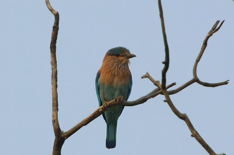 PMGP1724-topaz-denoiseraw-sharpen.jpg