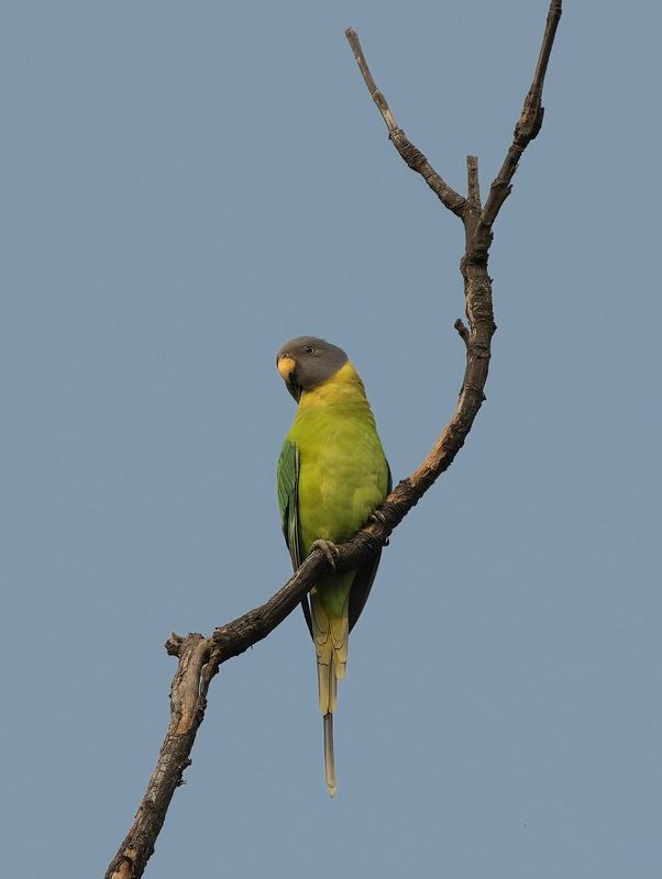 PMGP1761-topaz-denoiseraw-sharpen.jpg