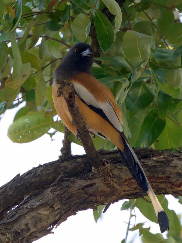PMGP1793-topaz-denoiseraw-sharpen.jpg