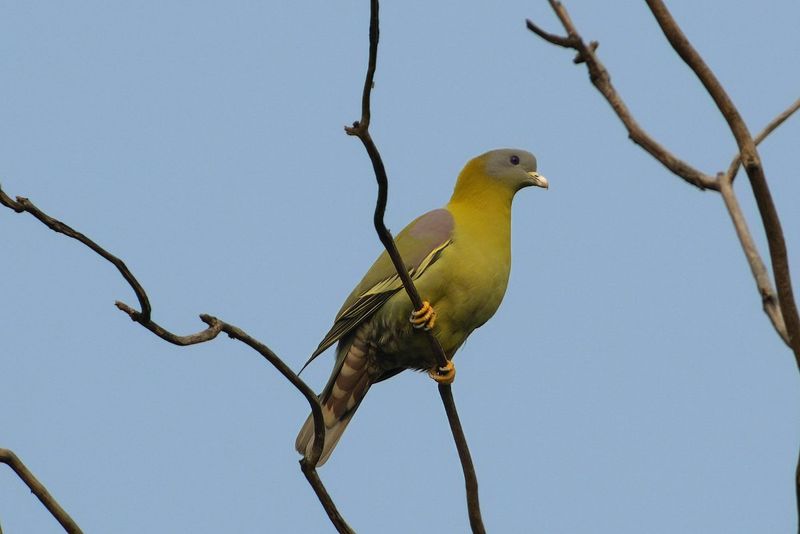 PMGP2183-topaz-denoiseraw-sharpen.jpg