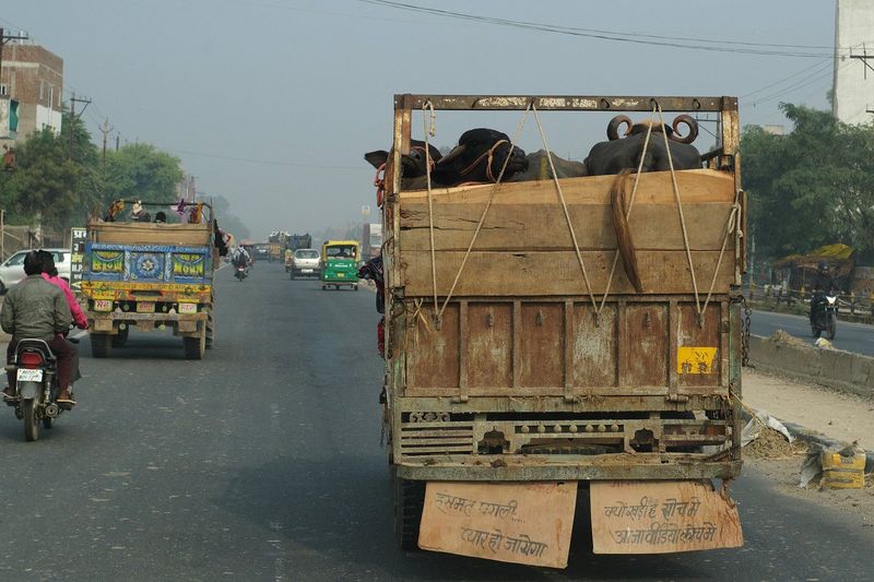 PMGP2812.jpg