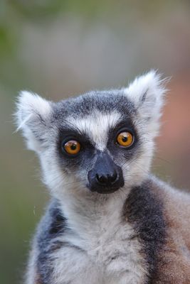 Madagascar, June 2017