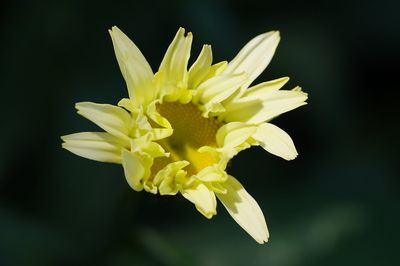 2-3MGP5859.jpg