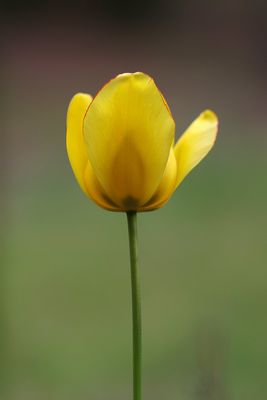 3MGP0545.jpg