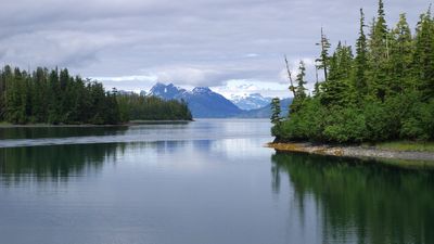 Columbia Glacier Cruise