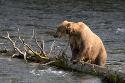 Alaska July 2025