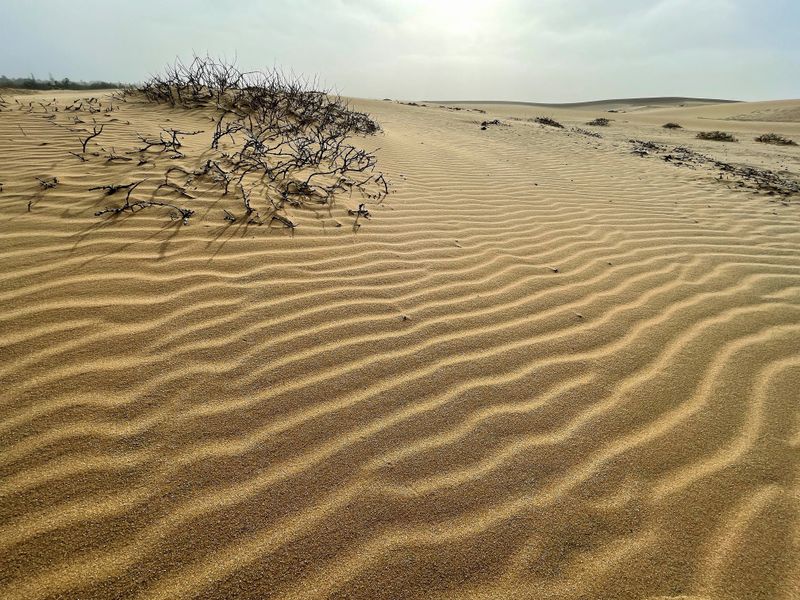 Dunes near Swakopmund