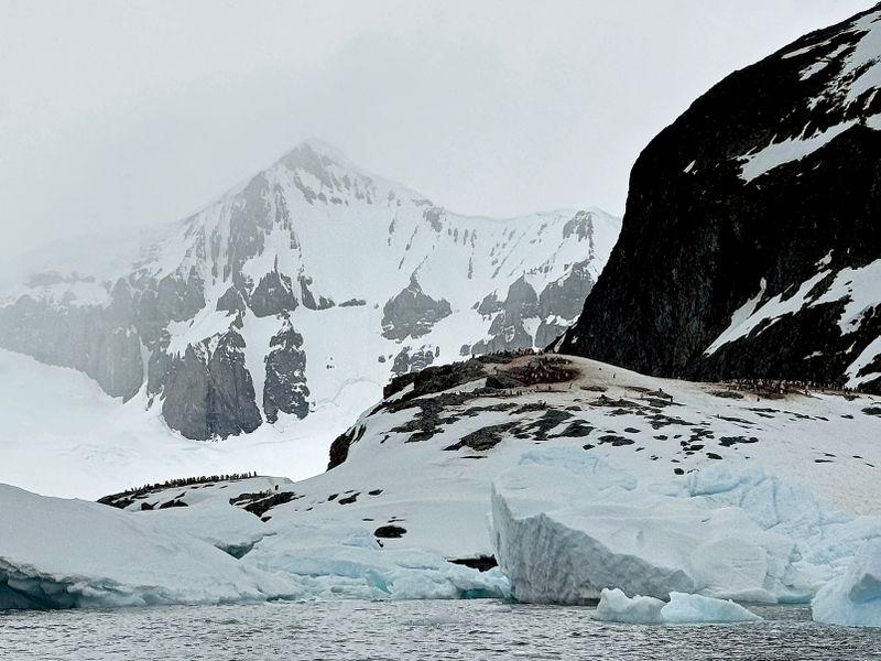 Cuverville Island