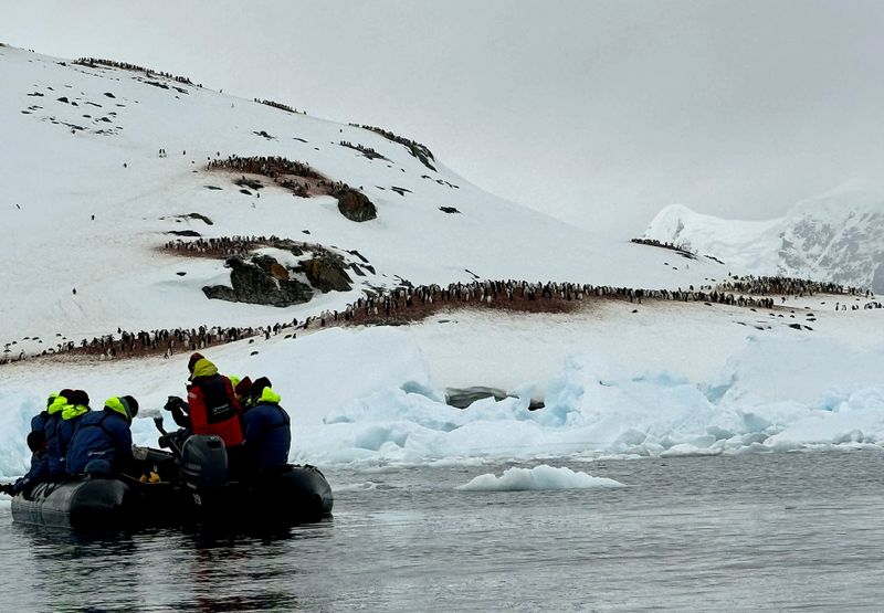 Cuverville Island