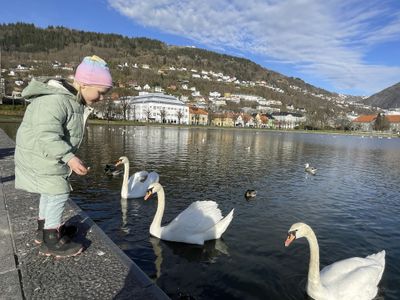 Child with swans