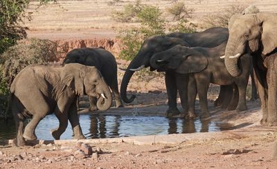 Water hole