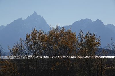 Willow Flats Overlook