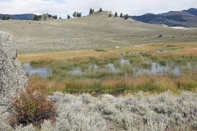 Lamar Valley