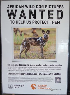 Wanted: African Wild Dogs