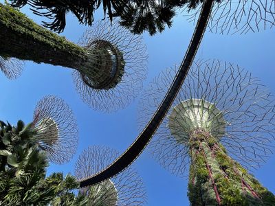 Supertrees
