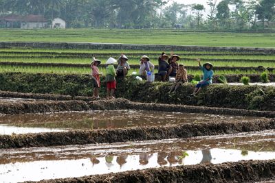 Workers/West Java