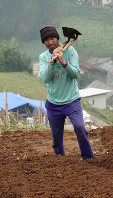 Farmer/West Java