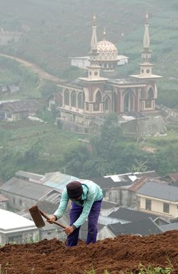 Working the land