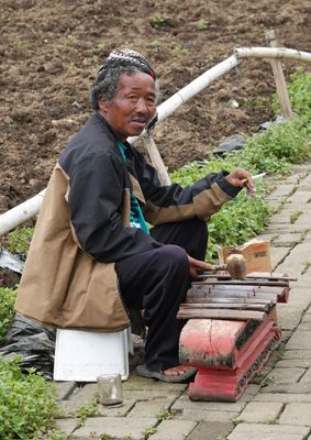 Musician